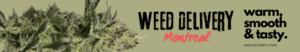 Weed Delivery Montreal Header